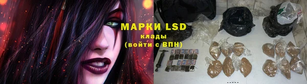 мдпв Верея