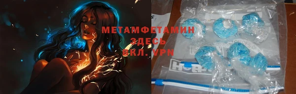 сатива Волоколамск