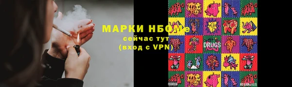 сатива Волоколамск