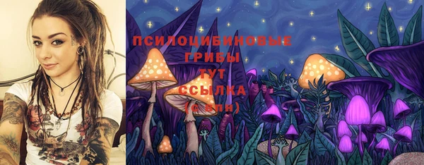 крисы Володарск