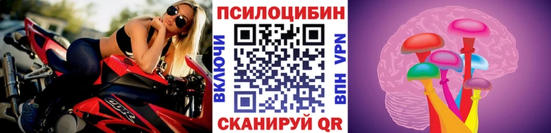 Псилоцибиновые грибы GOLDEN TEACHER  Зеленокумск 